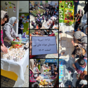 بازارچه خیریه